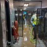 Two community service volunteers clean kennels at the Perry County Dog Shelter.