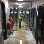 A community service volunteer cleans kennels at the Perry County Dog Shelter.