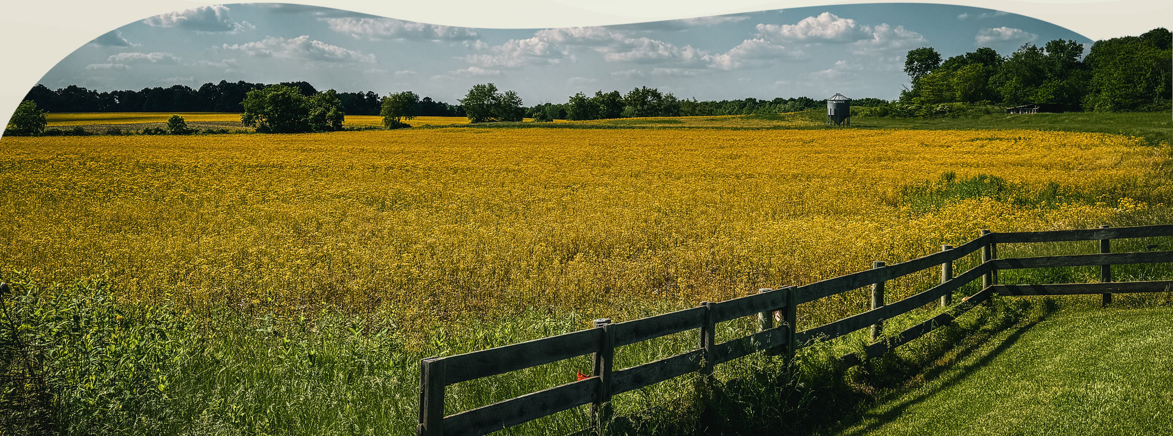 field in Perry County