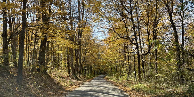 Perry County township road in the fall.