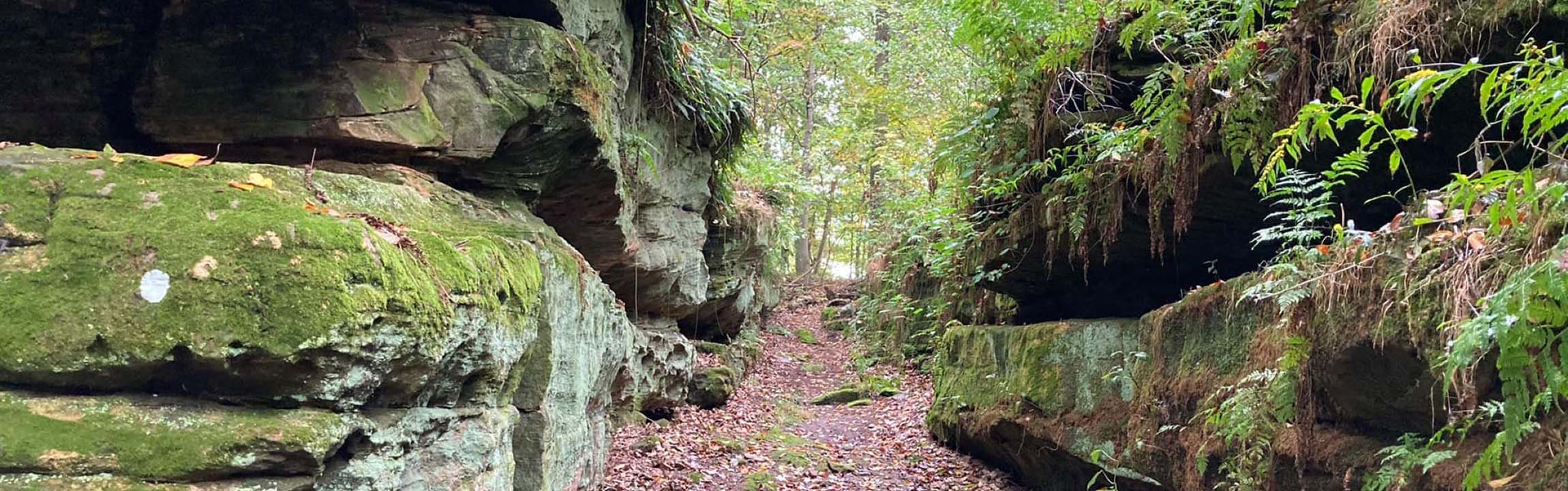 View of trail at Glenford Fort in Perry County, Ohio.